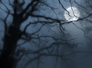 В лунном тумане